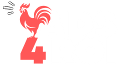 logo ads4roi